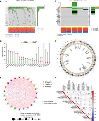 m6A Methylation Modification Patterns and Tumor Microenvironment Infiltration Characterization in Pancreatic Cancer